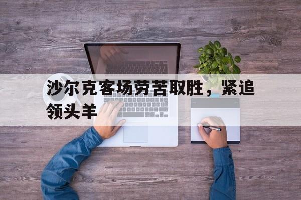 关于沙尔克客场劳苦取胜，紧追领头羊的信息